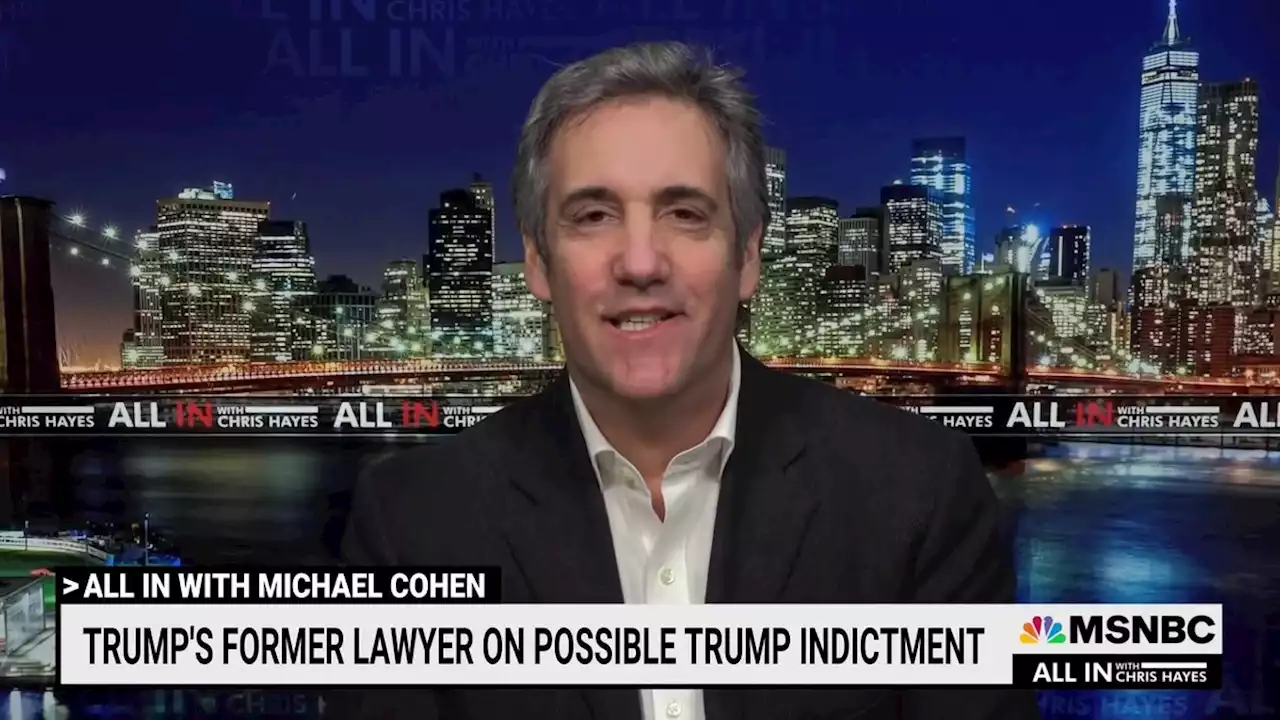 'Run': Former Trump lawyer Michael Cohen gives advice to current Trump lawyers