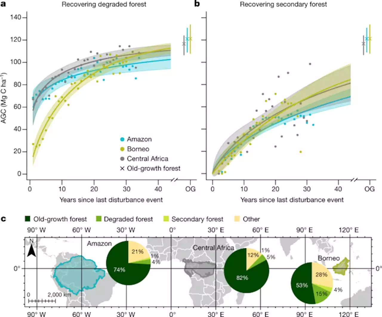 The carbon sink of secondary and degraded humid tropical forests - Nature