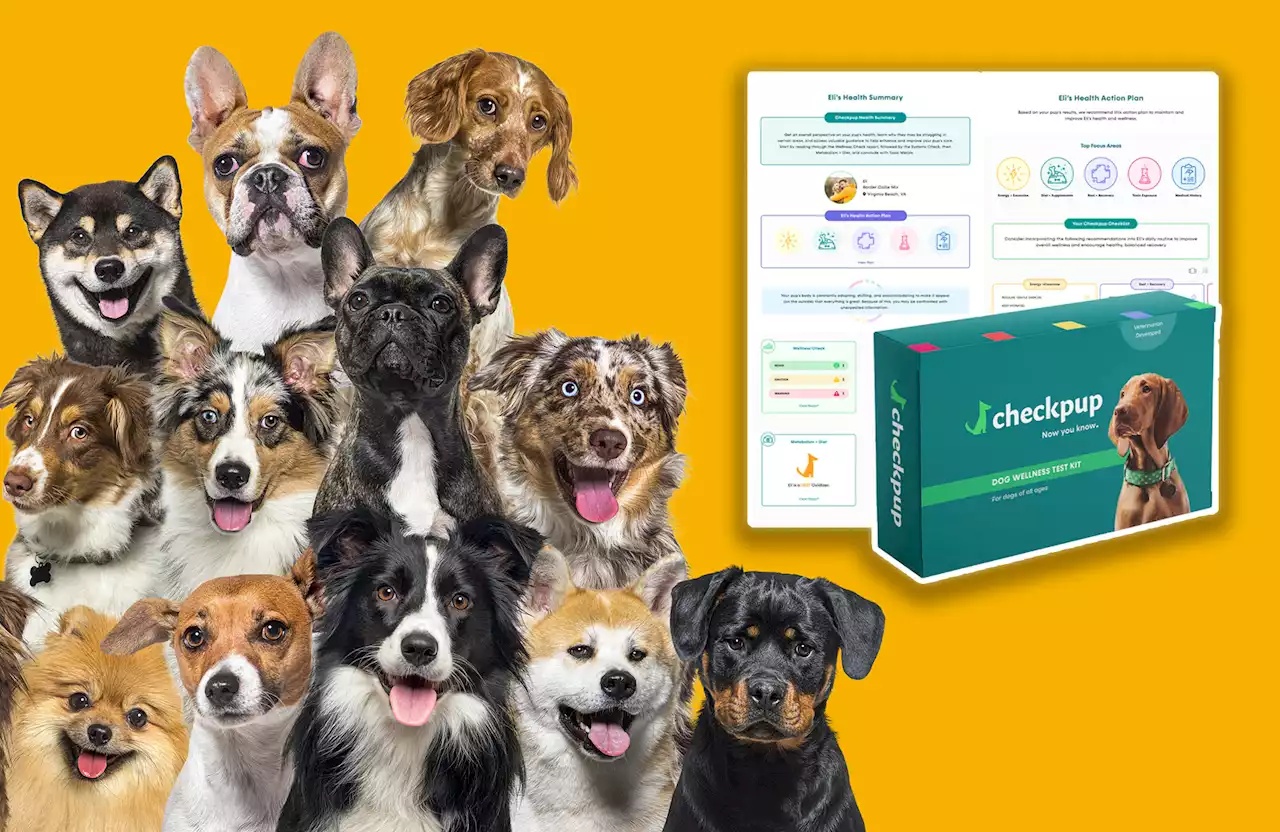 A round of app-pawse for this $120 dog wellness test kit