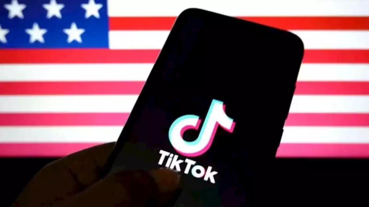 Estados Unidos investiga a TikTok por supuesto espionaje a periodistas | La empresa china reconoció irregularidades