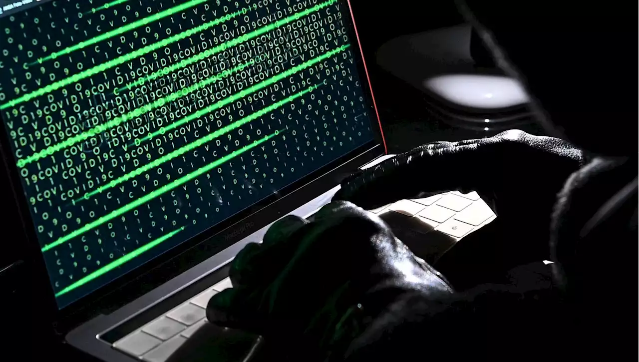 Pmi italiane nel mirino delle cyber-gang: ora è record, ecco perché