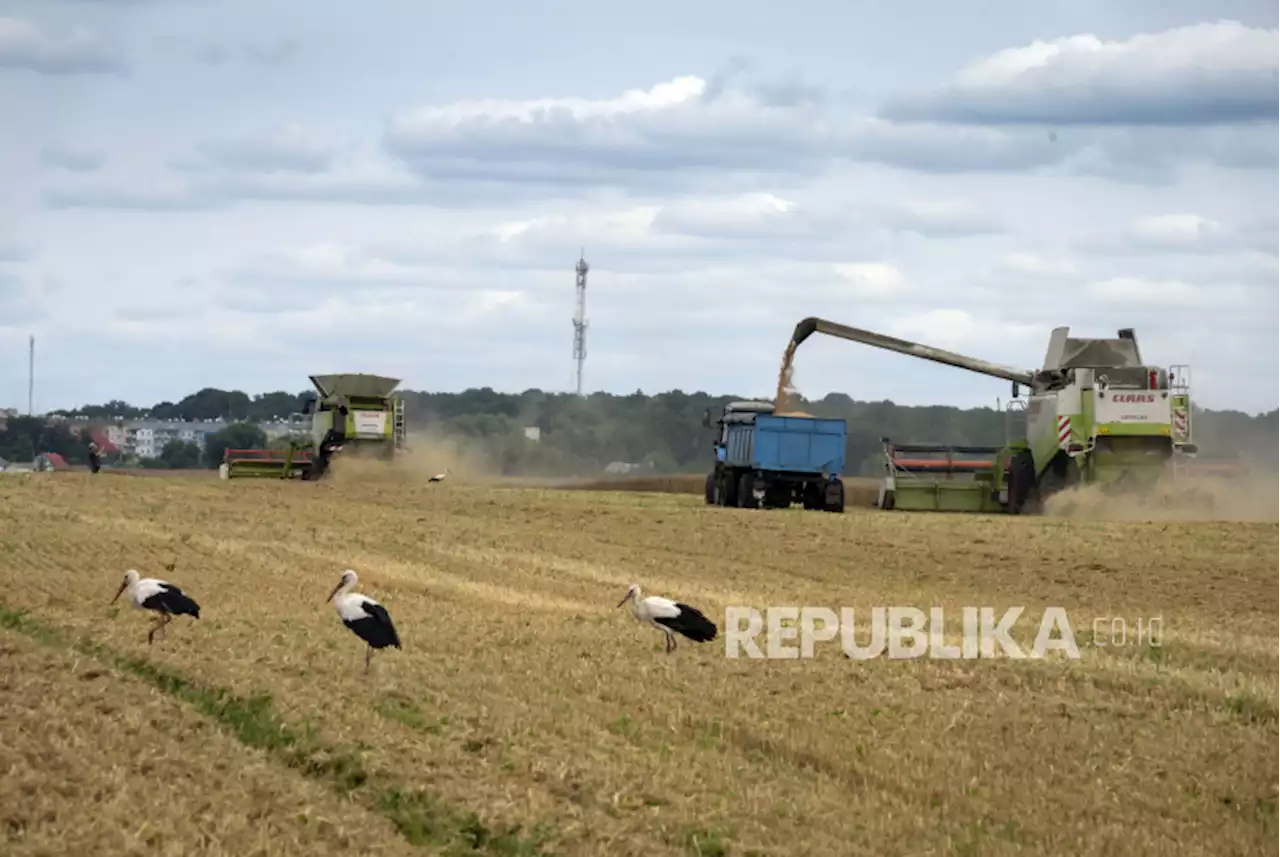 Rusia Hanya Ingin Perpanjang Kesepakatan Koridor Gandum Laut Hitam Selama 60 Hari |Republika Online