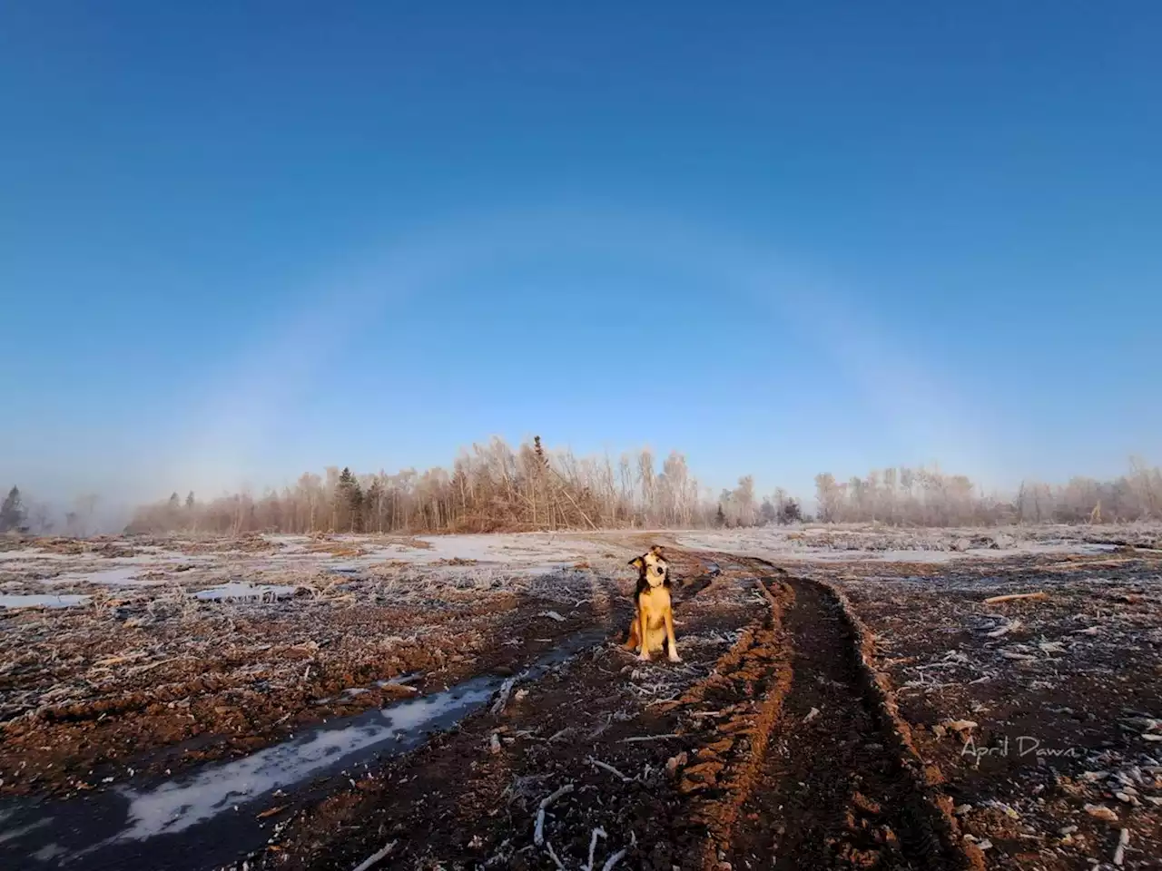 WEATHER PHOTO: Posing under a fogbow in Covehead, P.E.I. | SaltWire