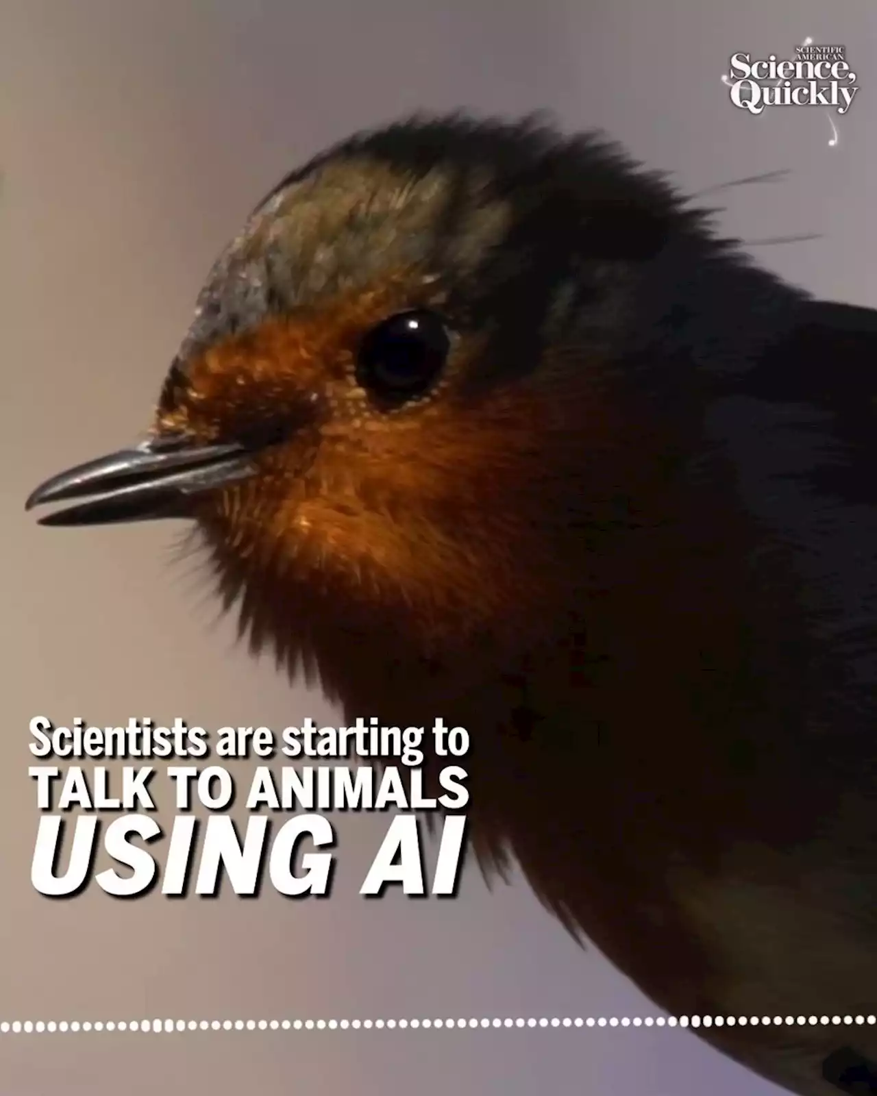 ‎Science, Quickly: Squeak Squeak, Buzz Buzz: How Researchers Are Using AI to Talk to Animals on Apple Podcasts