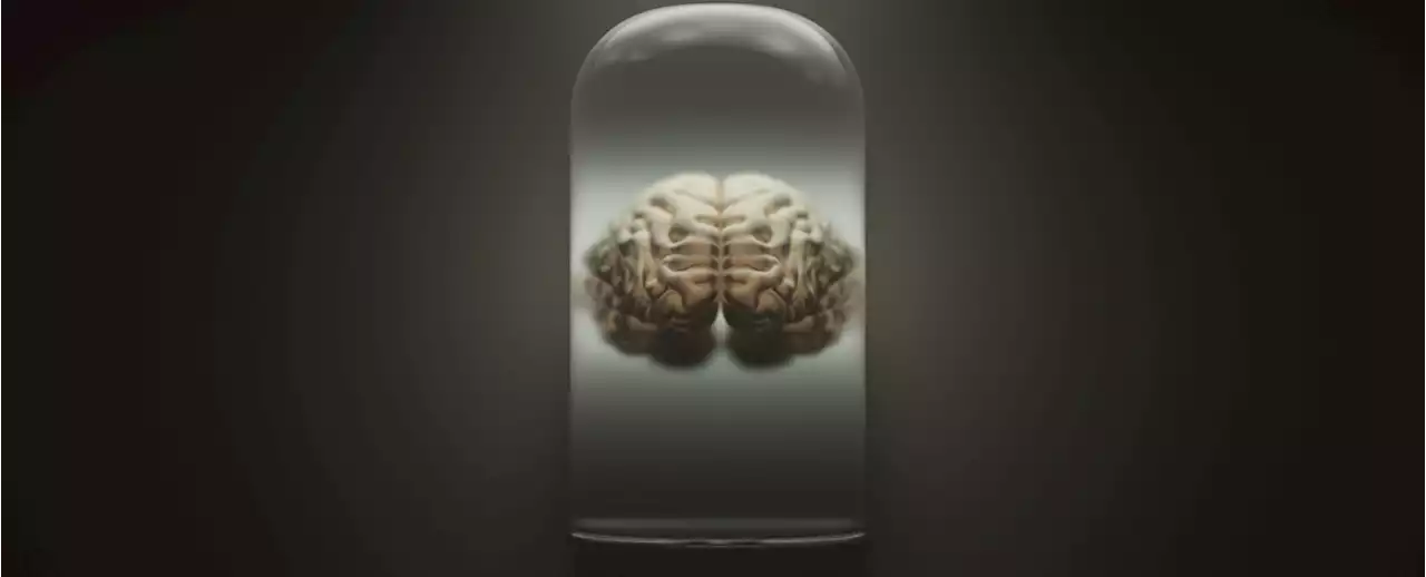 A Danish University Has The World's Largest Collection of Human Brains in Its Basement