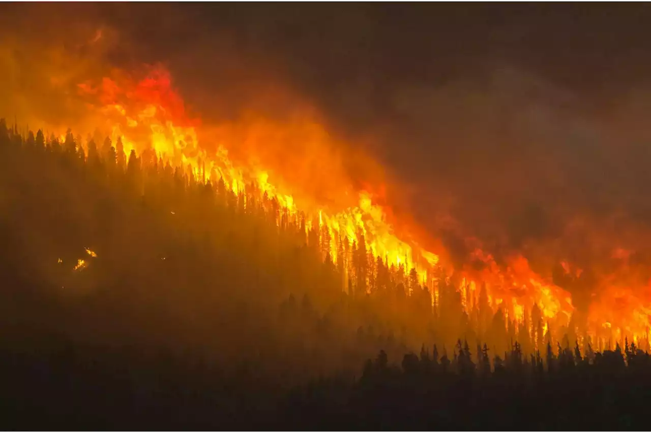 “Shattering Records” – Wildfires in 2021 Emitted a Record-Breaking Amount of Carbon Dioxide