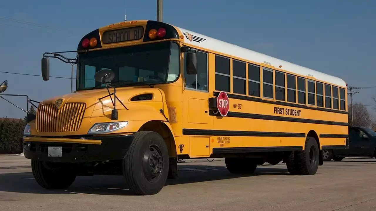 What Are the Black Lines on a School Bus For?