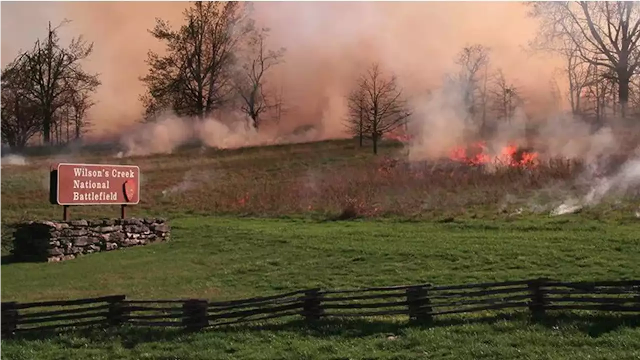 Prescribed burns: Fighting fire with fire