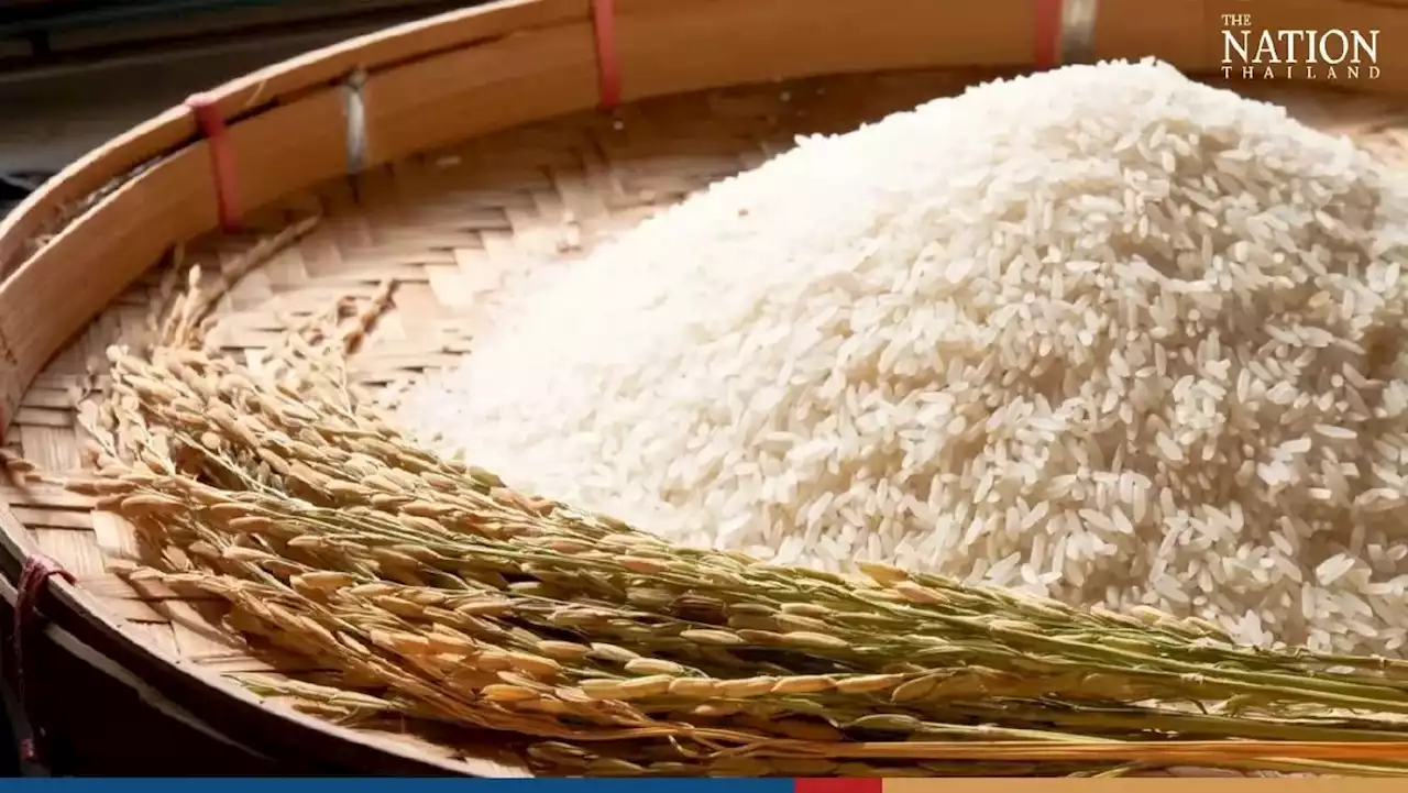 Thailand govt to sue Chinese factories producing fake jasmine rice