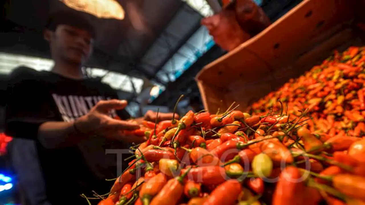 Orang Jakarta Suka Pedas-pedas, Konsumsi Cabai Bisa Tembus 120 Ton per Hari