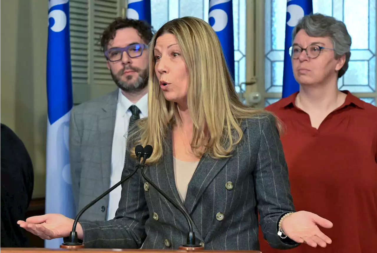 Critics allege group funded by Quebec government spreading transphobic views - Terrace Standard