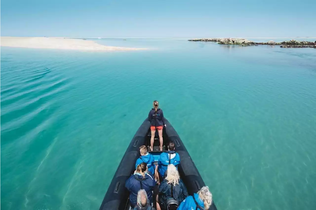 The stunning British islands with dolphins, clear blue seas and sandy beaches