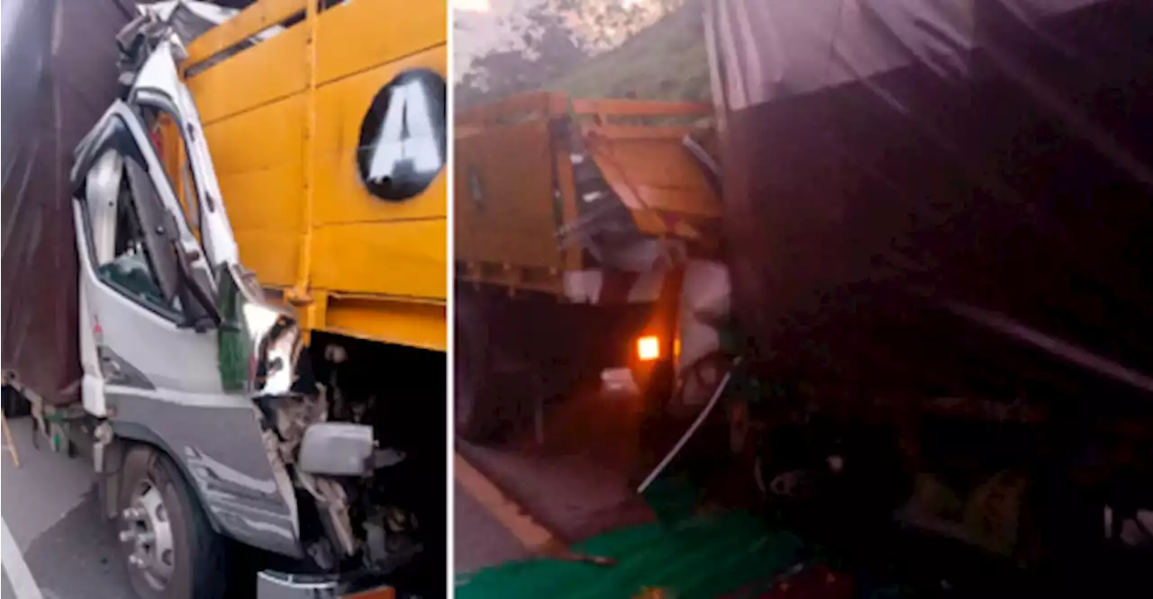 Two killed after lorry crashes into stalled trailer