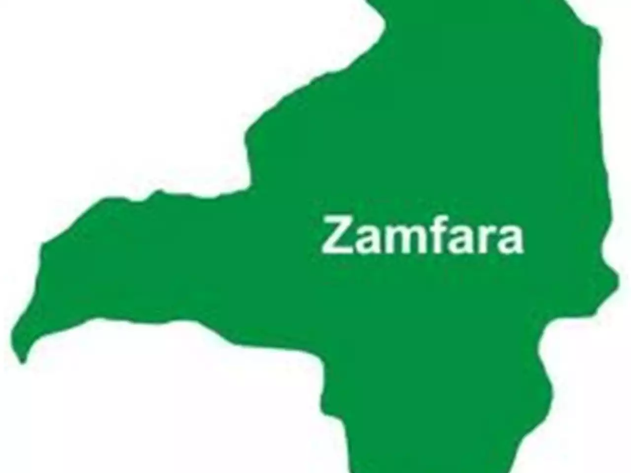 No Security Threat in Zamfara, APC Plotting to Disrupt Poll Result Collation, PDP Alleges – THISDAYLIVE