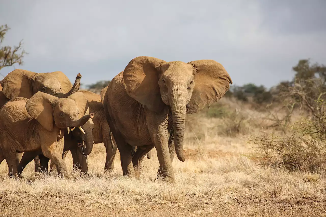 Chyulu Hills, Kenya: World's Greatest Places 2023