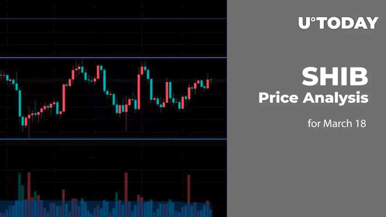 SHIB Price Analysis for March 18