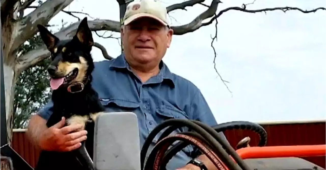 Farmer, 75, killed in rural NSW hazard reduction burn