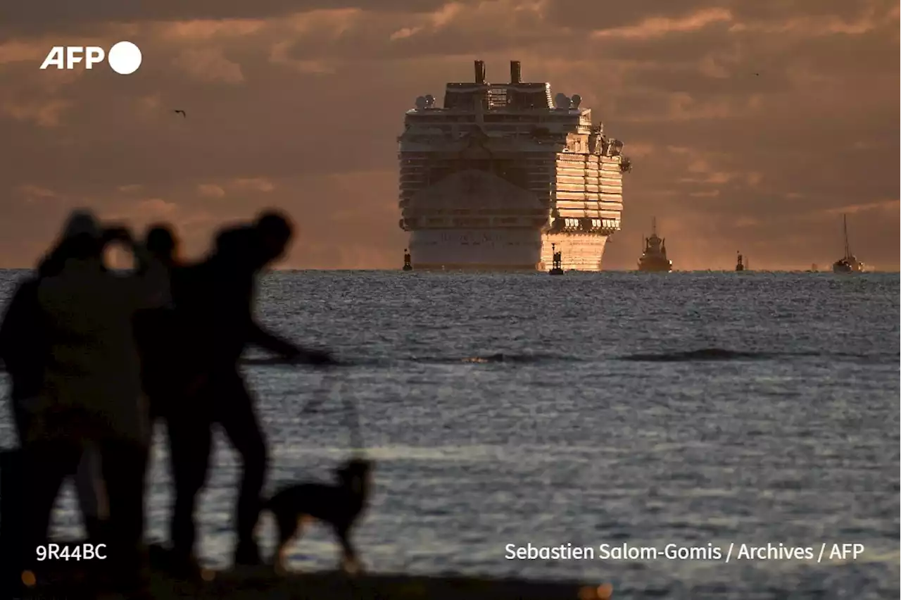 Pollution maritime: à Marseille, les 'scrubbers' des navires sentent le soufre