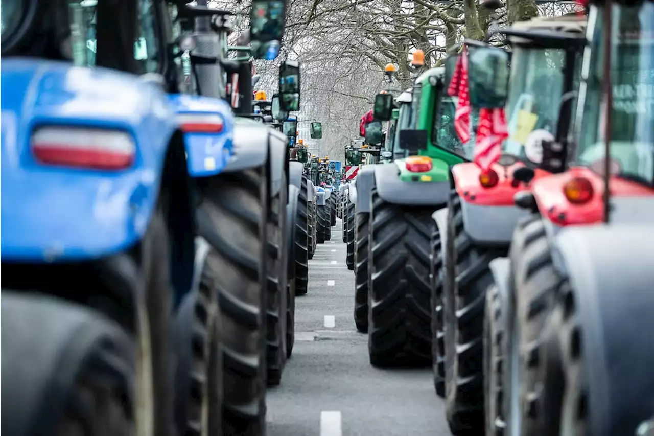 „Bundesregierung im Kern landwirtschaftsfeindlich“: Wer steht für deutsche Bauern ein?