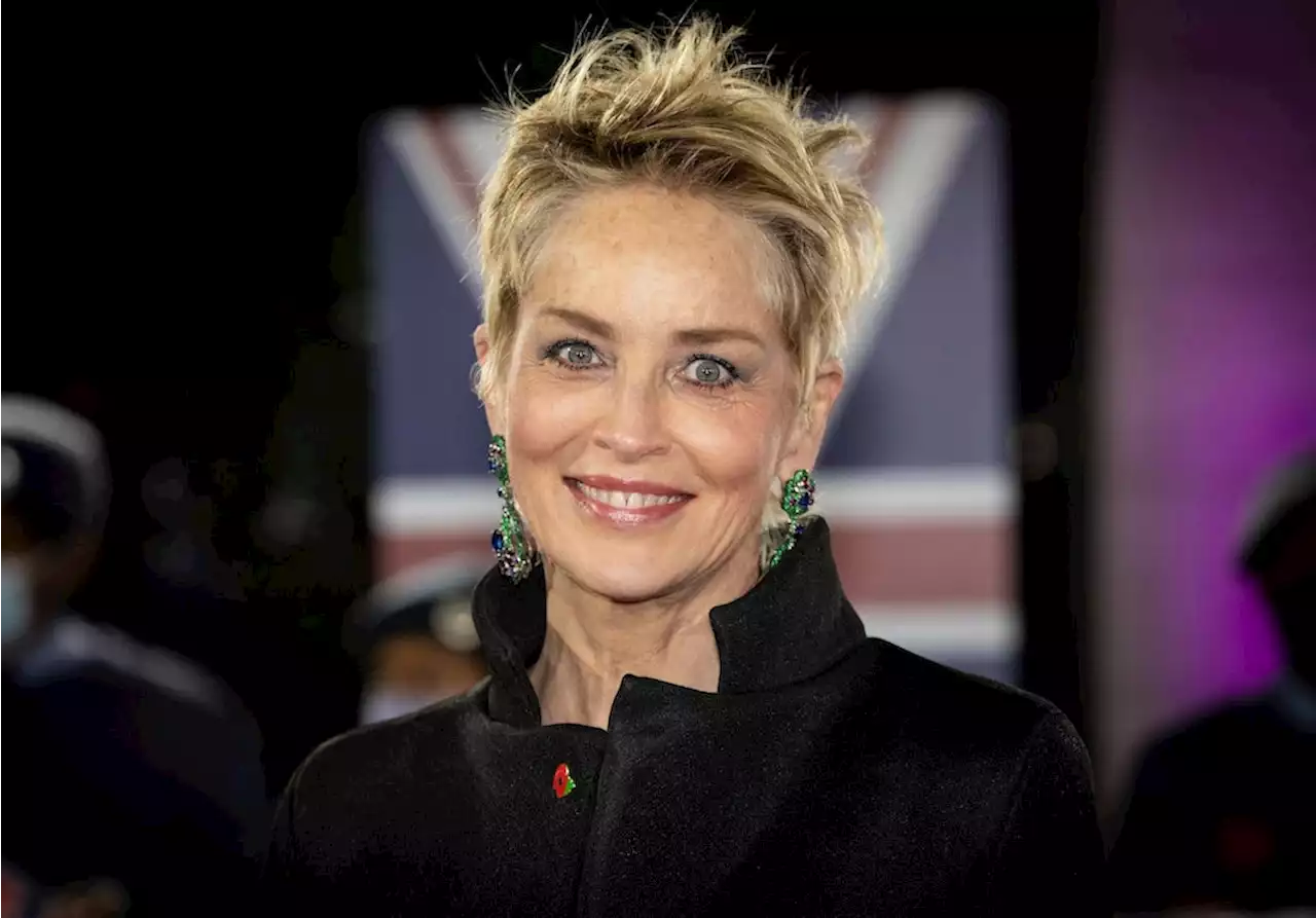 US-Bankenkrise: Sharon Stone verliert die Hälfte ihres Vermögens