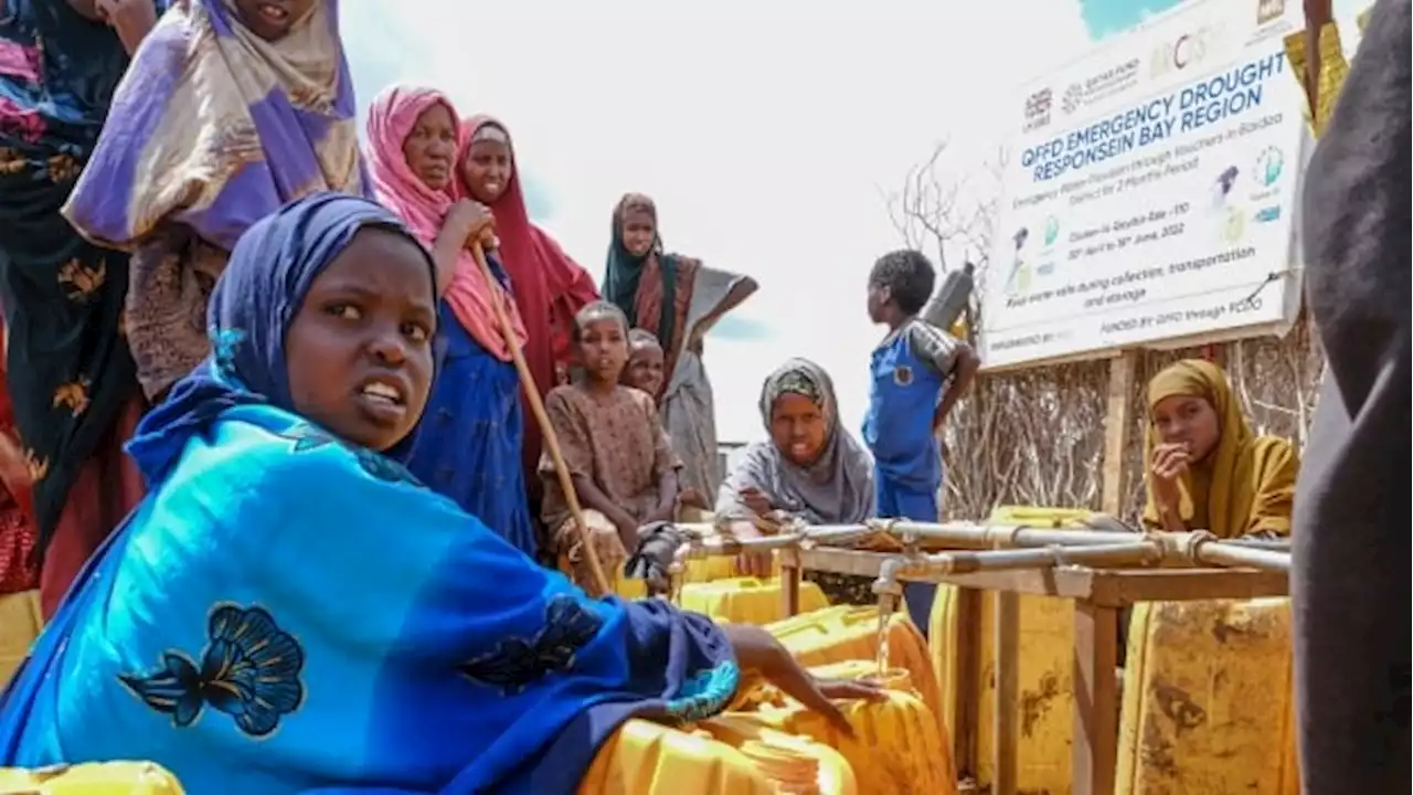 Why Somali Canadians are footing more of the bill for the climate crisis in Africa | CBC News