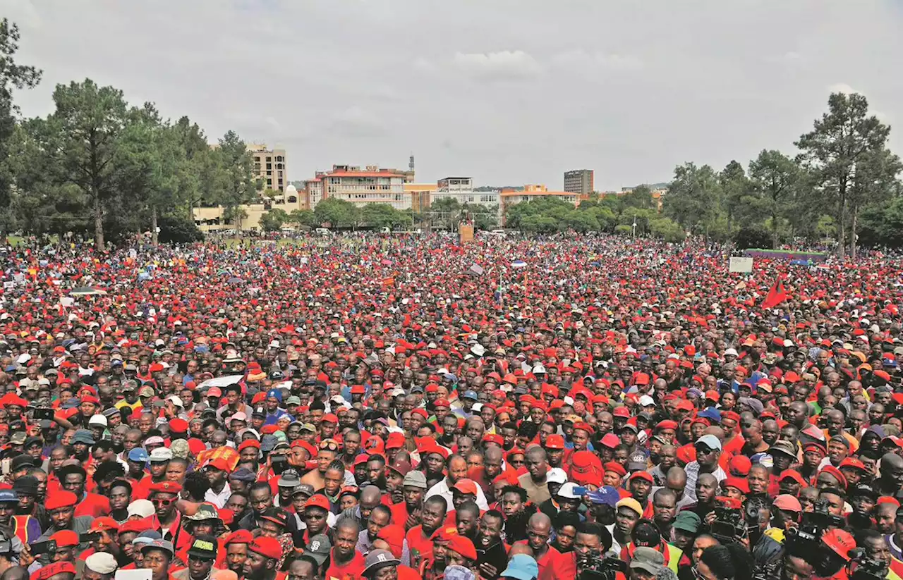 EFF interdicted from intimidating and harassing employees | City Press