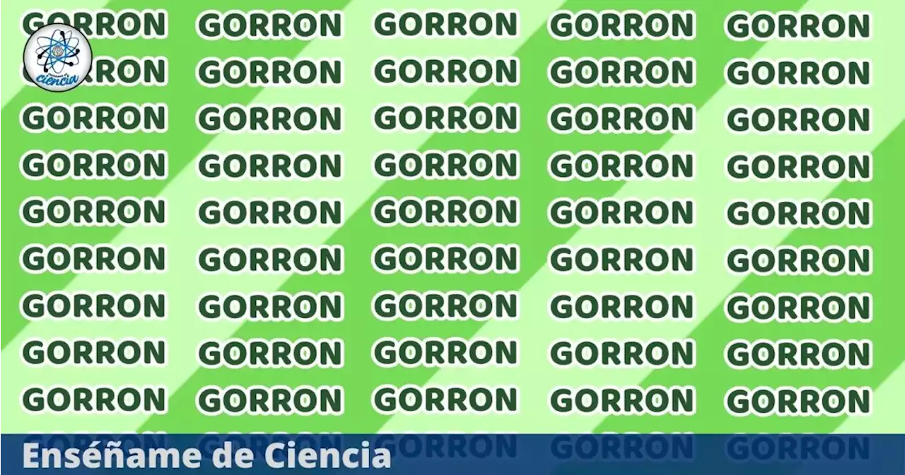 Test visual nivel EXPERTO: ¿Podrás encontrar la palabra GORRIÓN en tiempo récord?