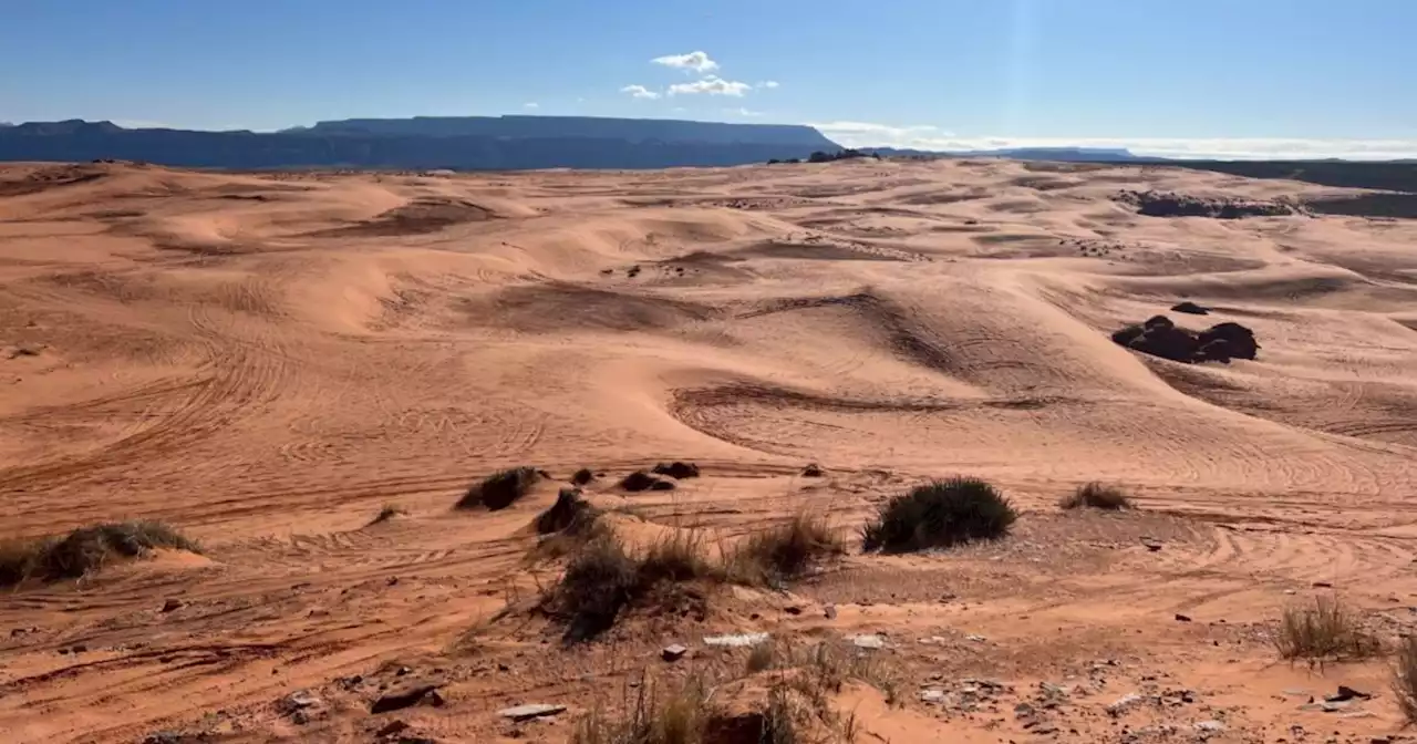 Volunteers take part in largest service project ever at Sand Mountain OHV Area