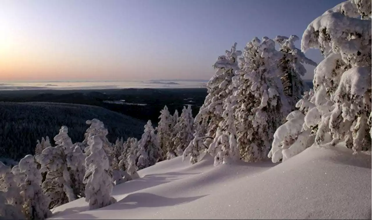 Oregon snowboarder dead after falling off cliff in avalanche