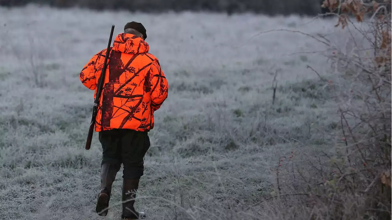 VRAI OU FAKE. Les chasseurs français tuent-ils 21 millions d'animaux par an ?