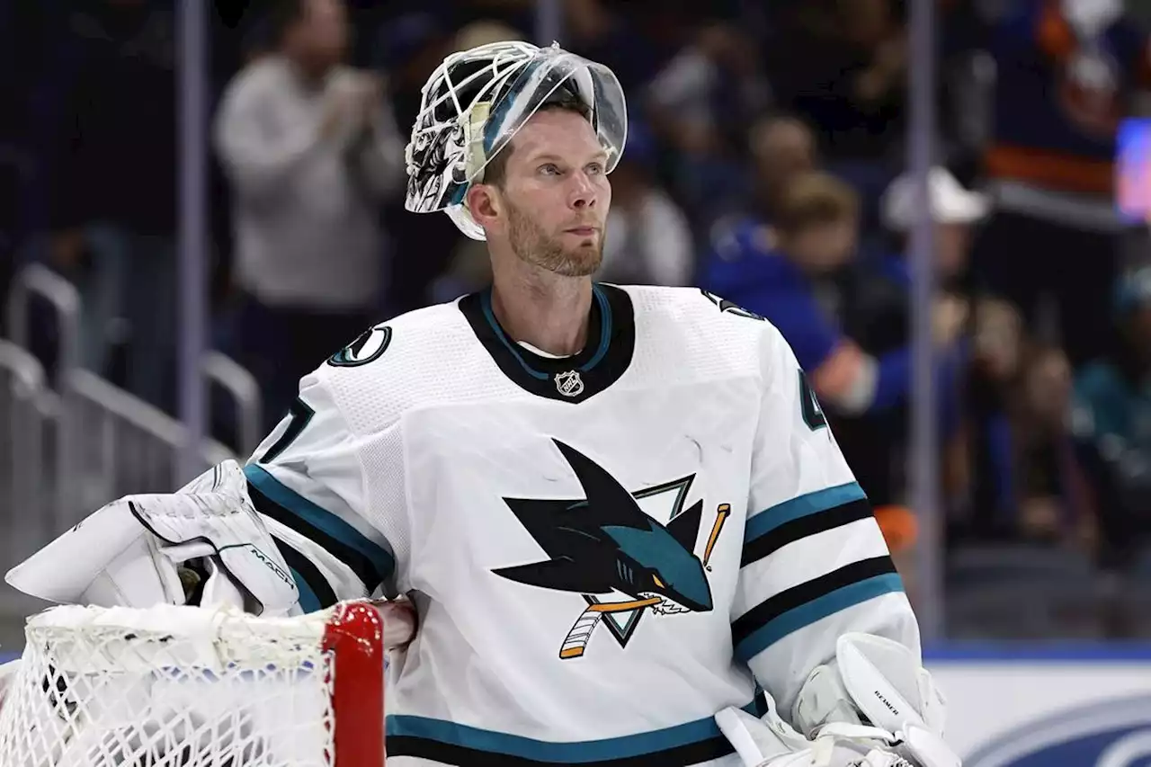 James Reimer is the bad guy so that the NHL can be on every side