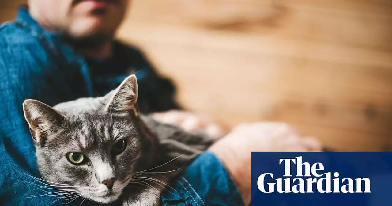 Dogs and cats could be passing on drug-resistant bugs to owners, study finds