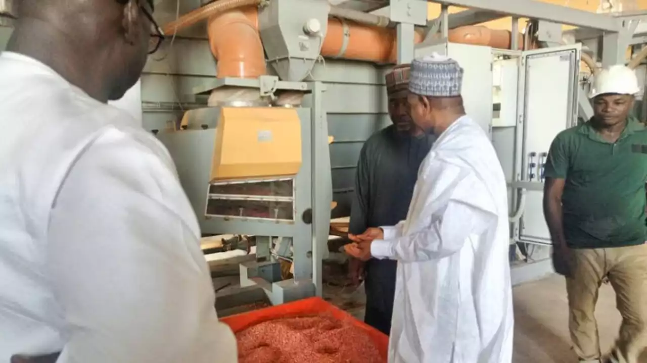 Kebbi hosts mega flour mill