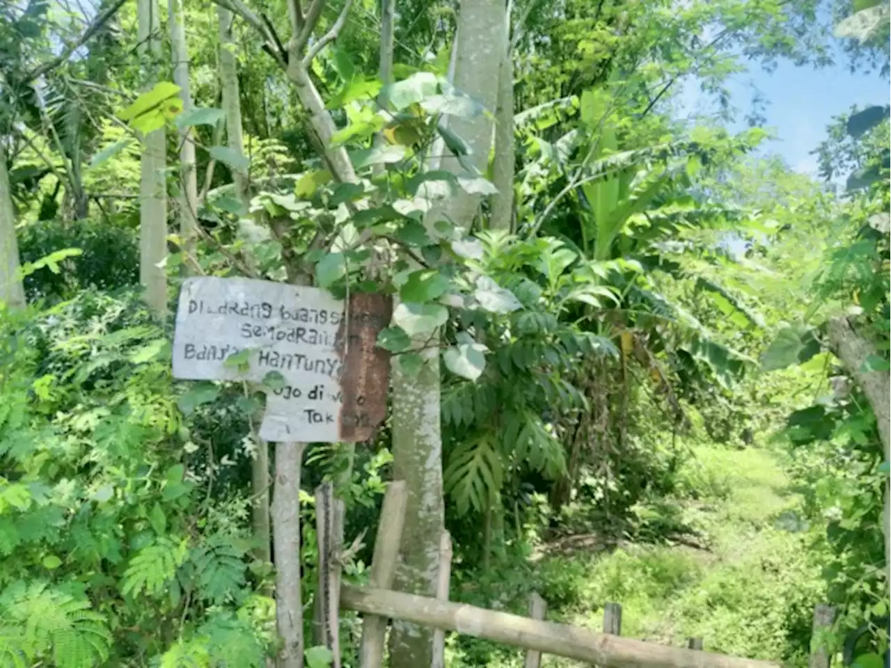 Karena Rentetan Kejadian Misterius, Dusun di Jombang ini Ditinggal Warganya