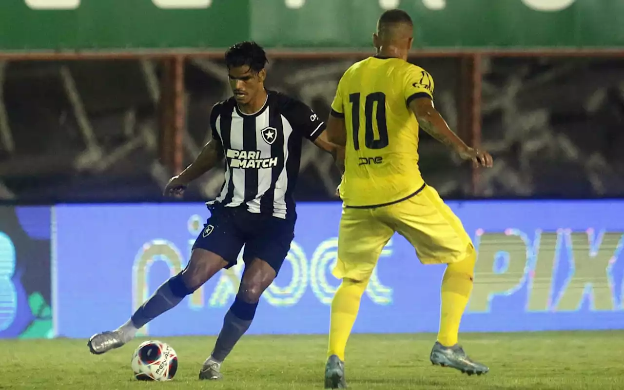 Portuguesa x Botafogo: Luís Castro afirma que Danilo Barbosa foi substituido por lesão | Botafogo | O Dia