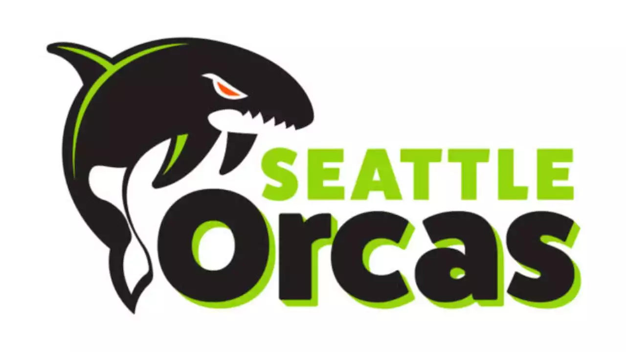 Seattle dives into professional cricket with new franchise, the Orcas