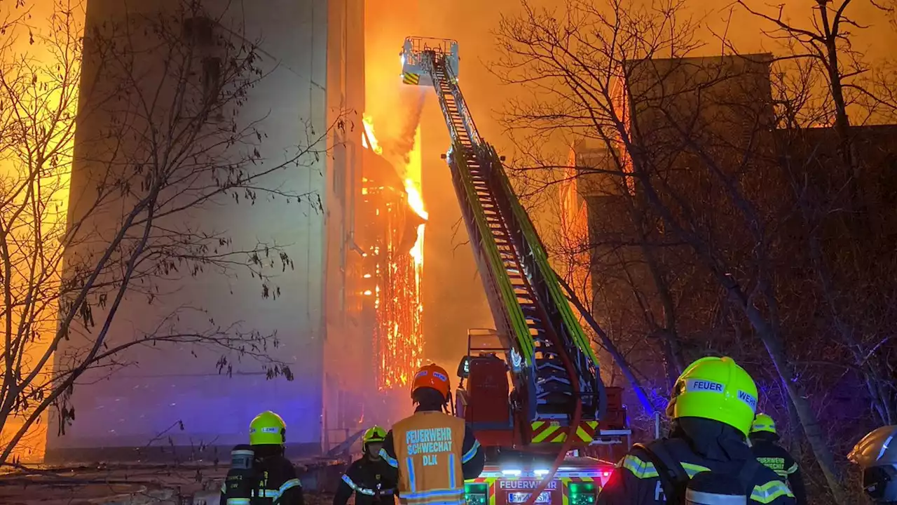 Brand in Schwechat - Feuerwehren im Großeinsatz