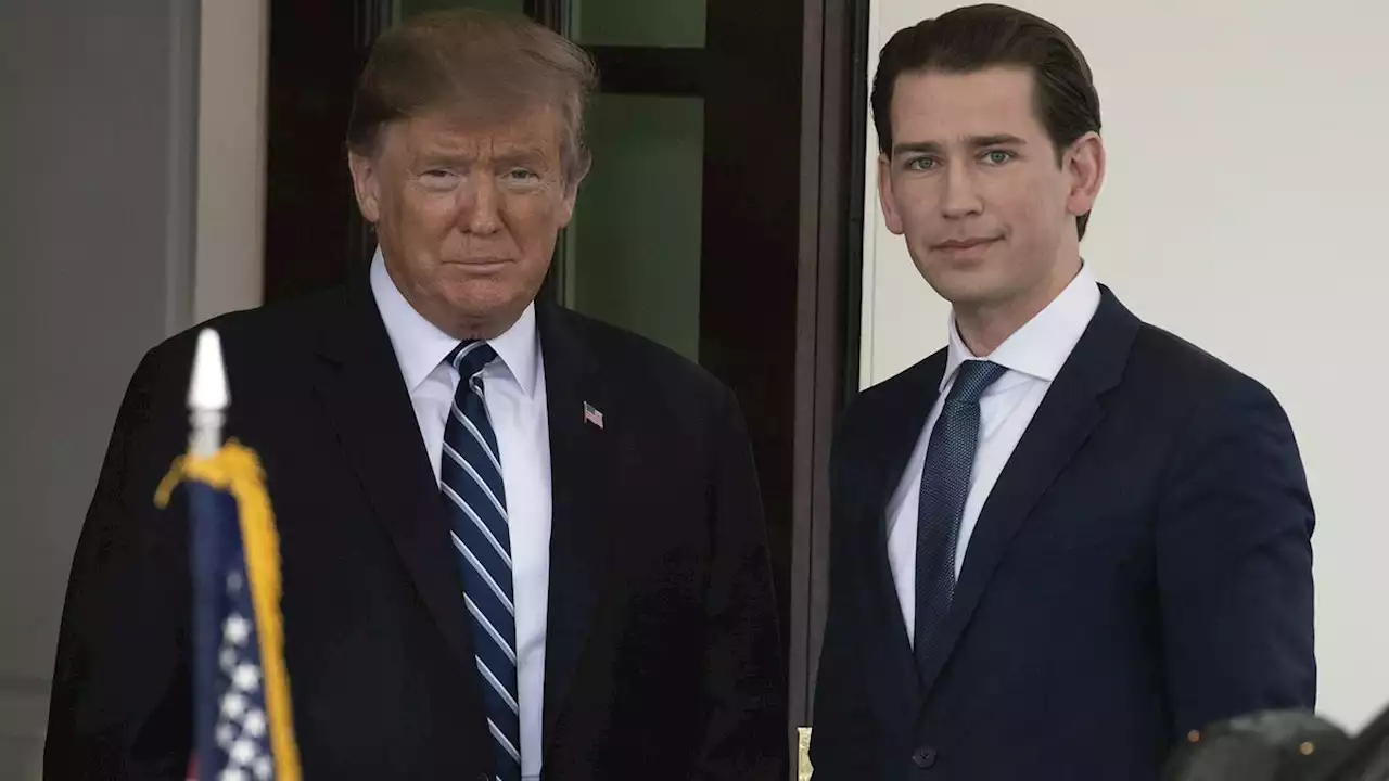 Teddybär von Kurz wird jetzt zum Problem für Trump