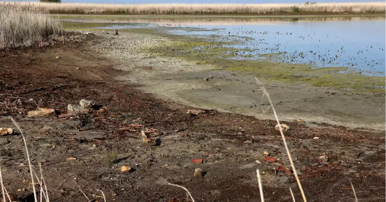 Camargue : une feuille de route pour 'sauver' l'étang de Vaccarès