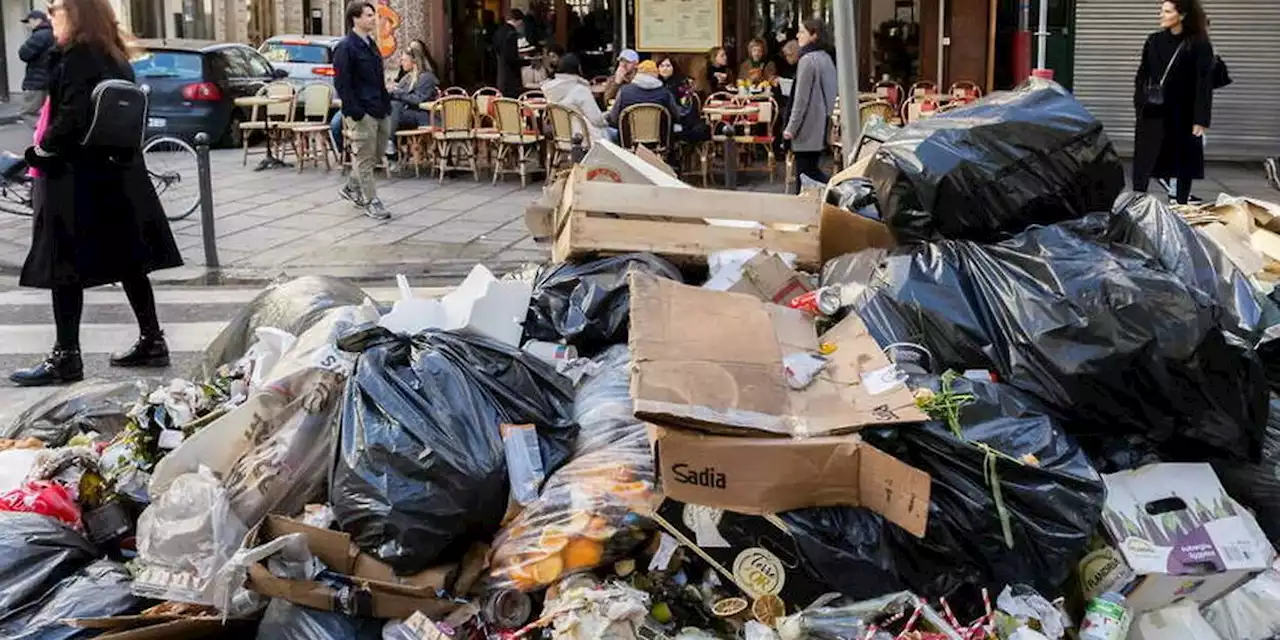 Grève des éboueurs à Paris : une association manifeste pour la défense des rats