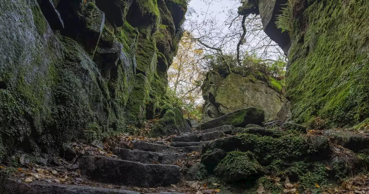 Inside the UK’s viral 'Jurassic Park' an hour from Greater Manchester