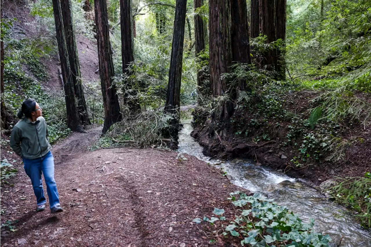 Scattered showers on tap for the Bay Area, while the Sierra girds for more snow