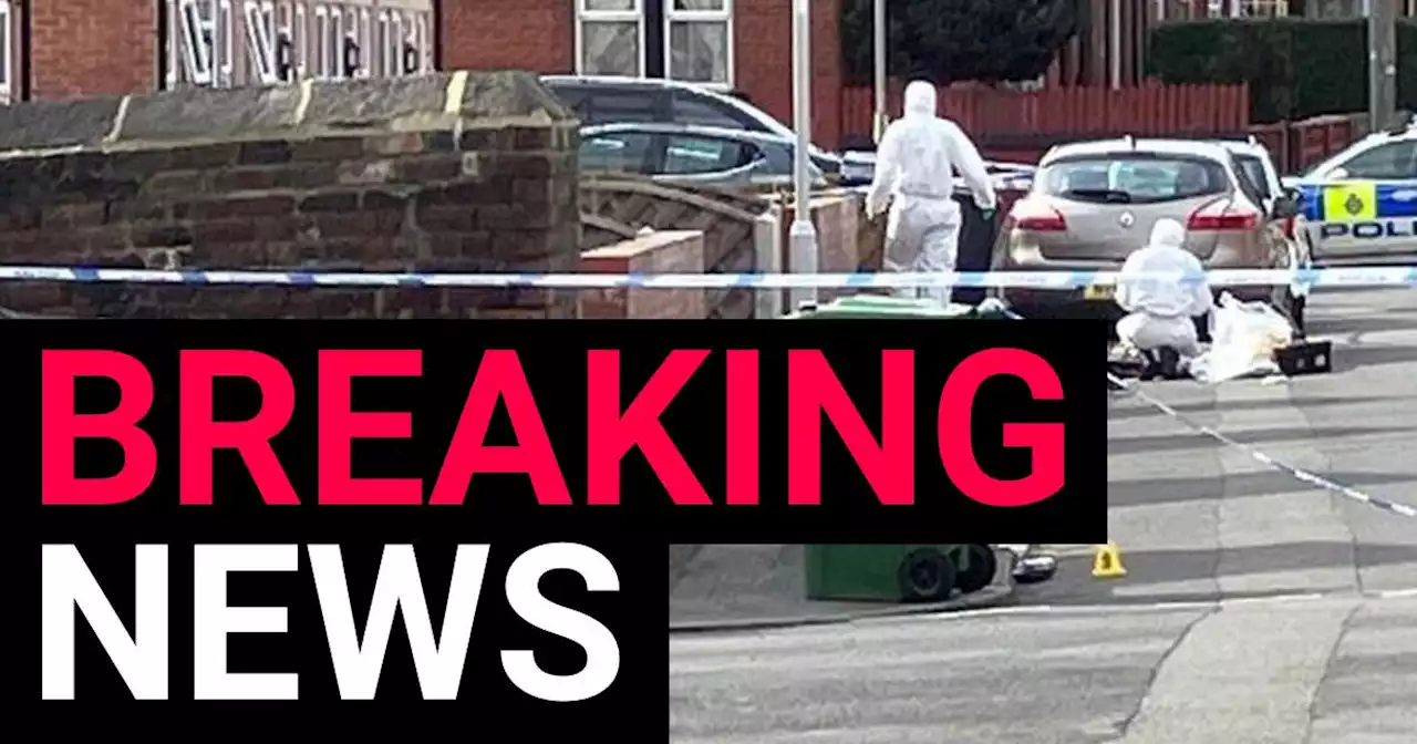 Boy, 17, stabbed to death at a house party