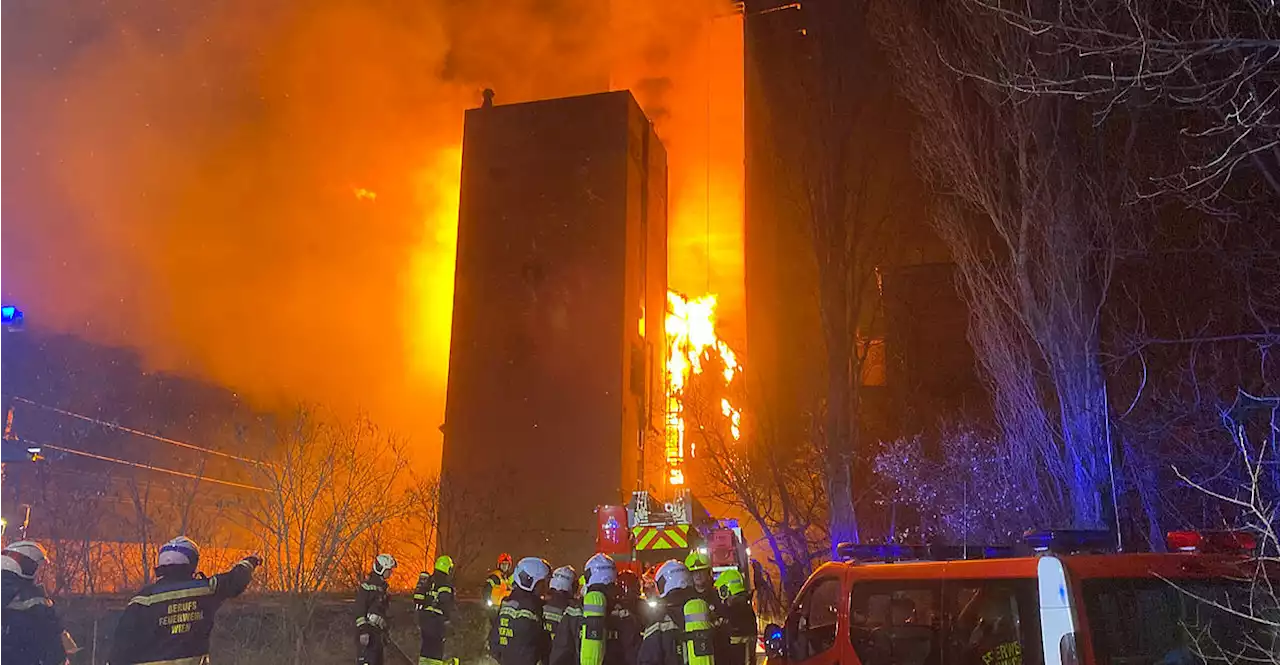 'Meterhohe Flammen': Großeinsatz der Feuerwehr in Schwechat