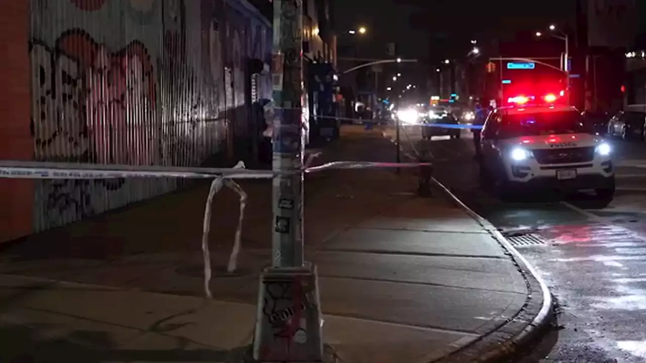 Triple Stabbing Wounds Men, 1 Fatally, in Overnight Brooklyn Attack: Cops