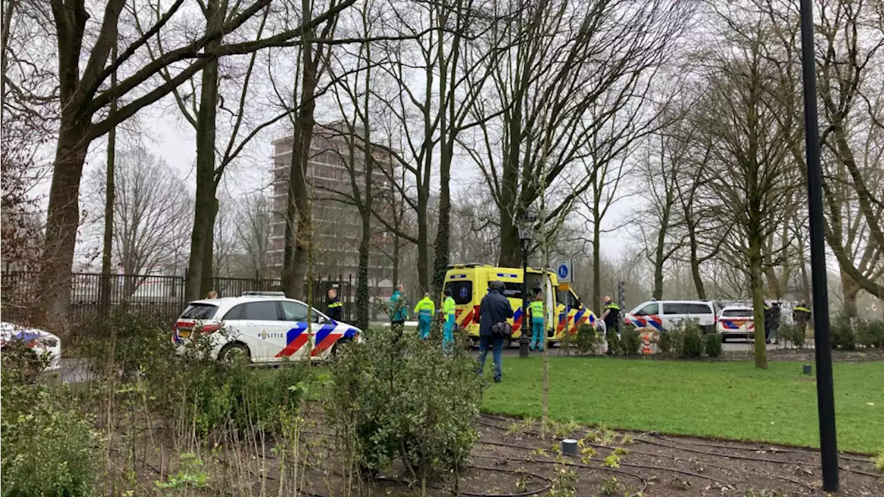 Man in rug gestoken in Oosterpark in Amsterdam