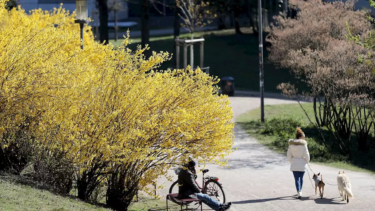 Der Frühling kommt mit Einschränkungen