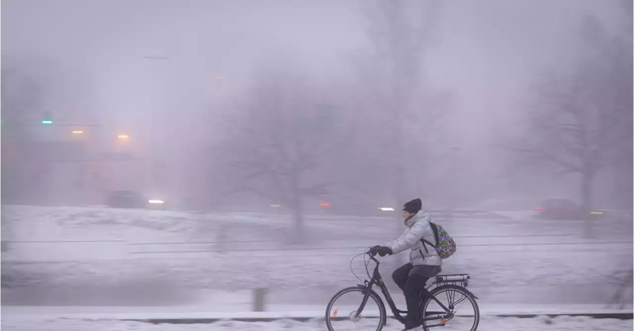 Ingen vårsol i sikte, veckan bjuder på mer snö – men först regn