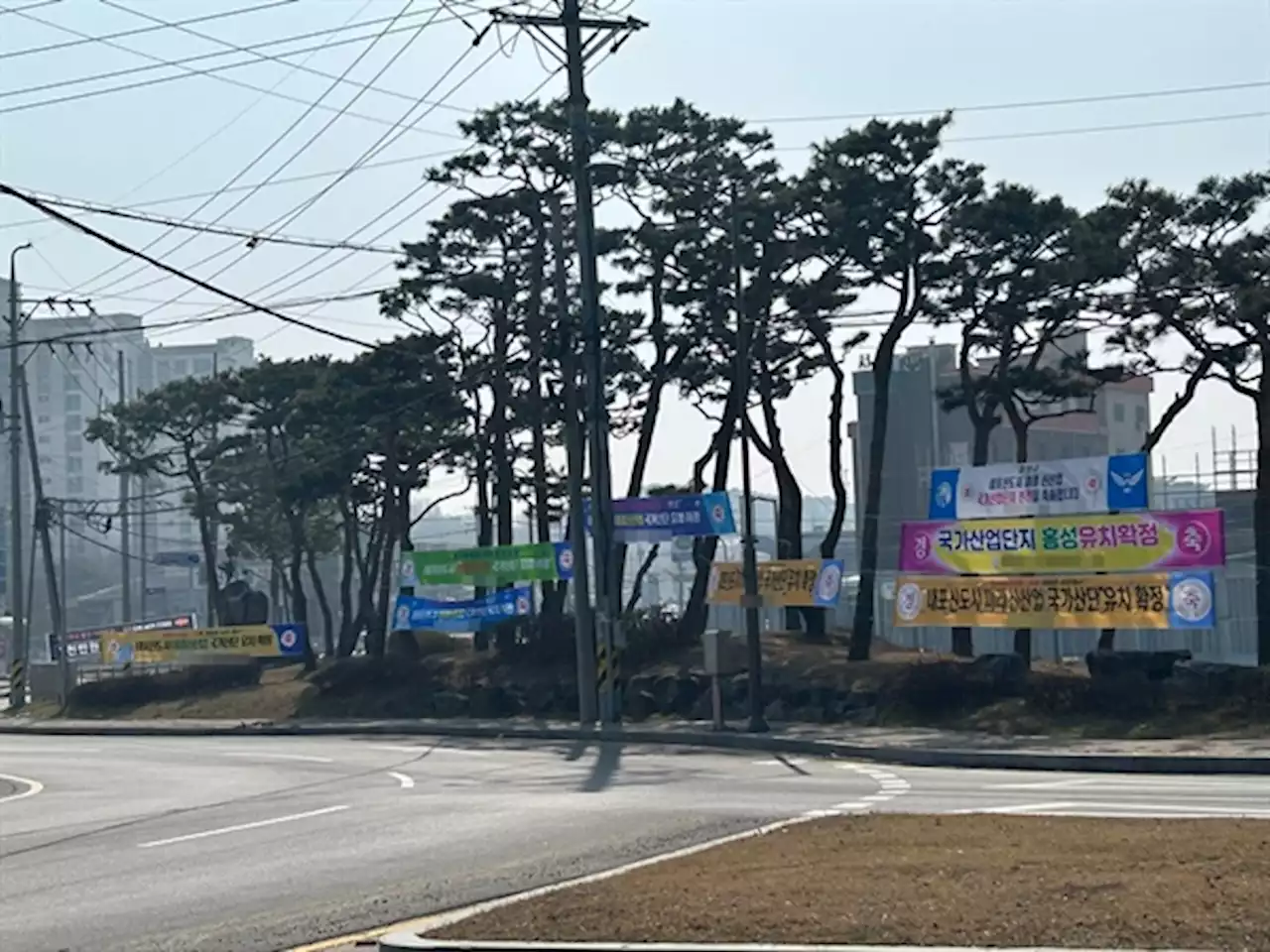 [홍성] 국가산단 유치 좋지만… 축하 현수막에 가로수 몸살