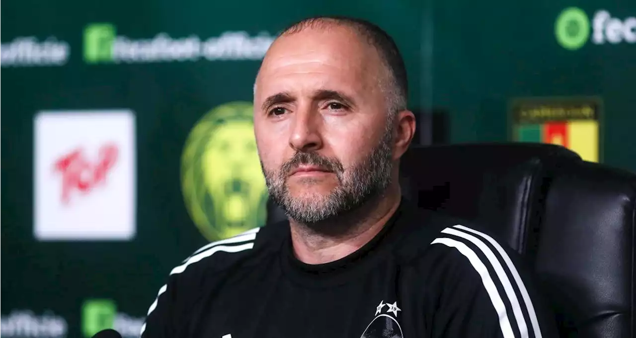 Algérie, Maroc : les mots forts de Belmadi sur Regragui et la Coupe du monde !